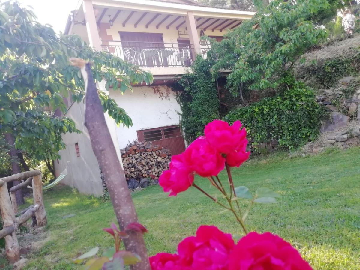 Casa Rural El Arroyo Sotoserrano Exteriér fotografie
